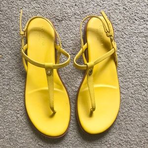 Brand new Cole Haan sandals. Size 8